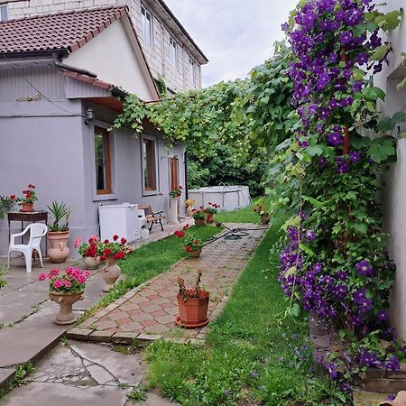 Marco'S Studio Făgăraş Exteriér fotografie